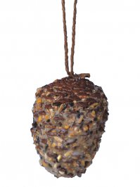 можно еще такие шишки-кормушки делать