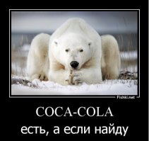 20 красивых фотографий дикой природы