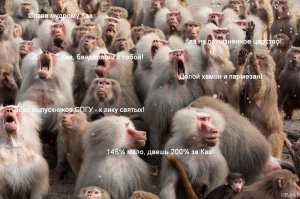 20 красивых фотографий дикой природы