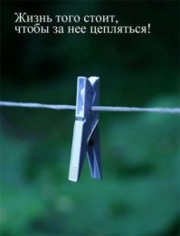Как стать заИкой 