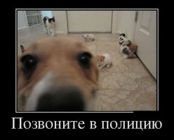 Эти животные знают толк в сэлфи!