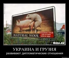 Шикарное исполнение русской песни "Тополя" грузинами