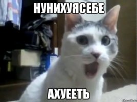 Хитрый пёс научился открывать герметичный контейнер