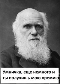 Учимся ездить на заднем колесе