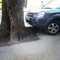 На этом фото знаменитый краснодарский долпайоп,который ставил свое корыто как ему вздумается и думал что ему все с рук сойдет.
Перестал он так ставить после того как его тачку облили кислотой!)))