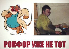 Кое что о сыре