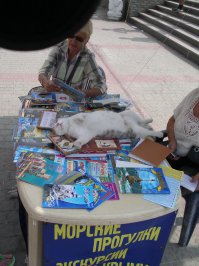 Пожалуй, размещу это здесь:) Балаклава, август 2013г.