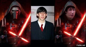 Кошачий двойник злодея из "Звездных войн" наконец обрел новую семью