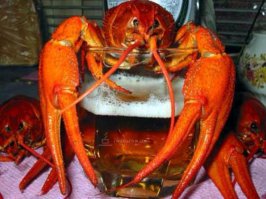 Вот самая лучшая закуска к пиву