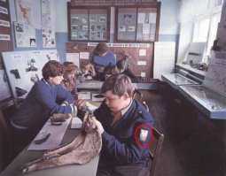 Инкубаторский.