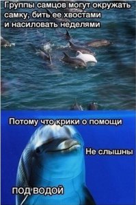 Прямо как арабы-беженцы в Гейропе.