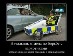 Очередная подборка автоприколов