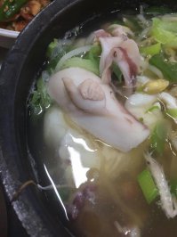 Фотоподборка за 19.01.2016