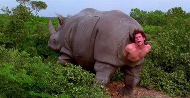 Подборка демотиваторов, которые поднимут вам настроение!