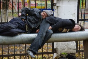 Под сколько признаков подходят?