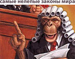 12 штатов США с самыми странными законами