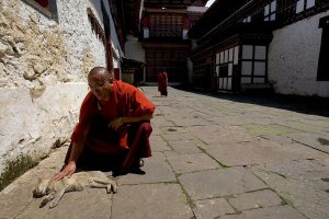 Кошка это единственное животное, которое может спокойно входить в любой храм и кстати во всех конфессиях. Не по теологическим причинам конечно, а чисто бытовым - для ловли мышей, ну и потому что очень чистоплотное животное, идеальное для жизни в помещении + 100% обаяния.