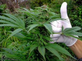 во забыли )))))