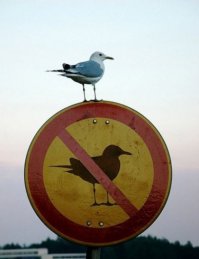 Пост так себе, есть лучшие примеры