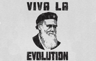 Смотри, как я умею: 12 гифок, которые сделают вам больно