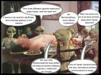 21 вкусное блюдо, которое действительно едят веганы