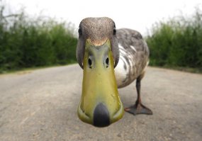 Прогноз погоды от BBC: «п…..ц как холодно»