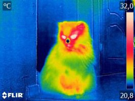 Из моей коллекции