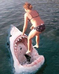 Когда камера удачно подловила тот самый момент