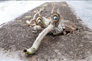 Фотоподборка за 20.01.2016