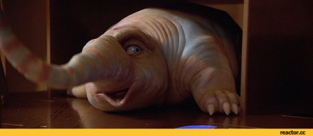 Фотоподборка за 20.01.2016