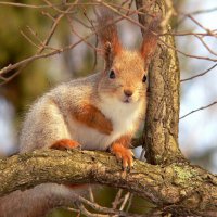 Под левым глазюкой