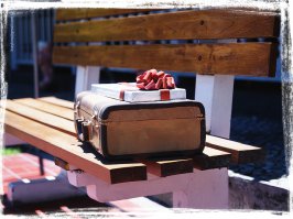 Мимо этих скамеек нельзя просто взять и пройти