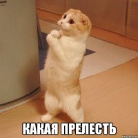 Класс