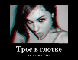 У библиотекаря спросили