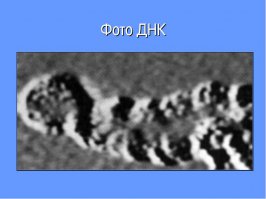 21 
Первую фотографию ДНК сделали в 50-годах.