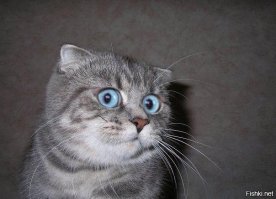 Ну вы поняли