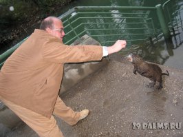 И почему только баптистских? :)

Да, еще в Иордании почему-то нет крыс водяных, не знаю, как их правильно называть, типа нутрий такие...