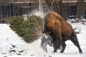 Фотоподборка за 21.01.2016