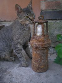 потрясающая история