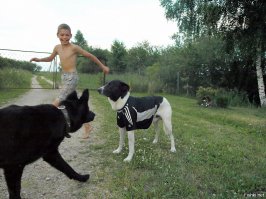 Вот этот в "Адидасе" тоже кошкой был усыновлён в младенчестве