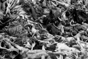 благодари творца, тварь, что среди них нет твоих предков. И не смей забывать об это ни на минуту.