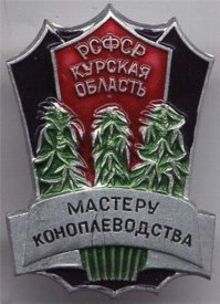 Как я помидоры "Балконное чудо" выращивал