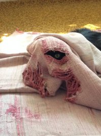 Фотоподборка за 21.01.2016