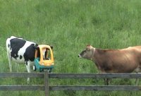 у меня половина города таких водителей)