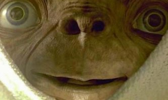 Брааааат!!!!!!!