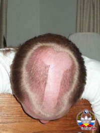 Автор!!! Почему нету ни одного славянина на фото??? Ты шо не славянин?? Вот ша я исправлю положение дел