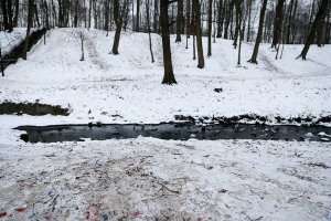 судя по следам, свежим снежком песочек присыпало? ;)