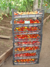 Забайкальский край.