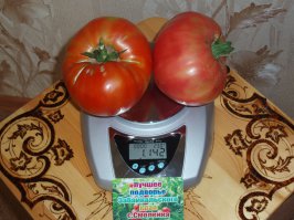 Забайкальский край.