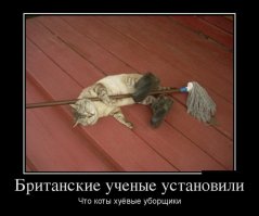 16 самых бесполезных открытий британских учёных